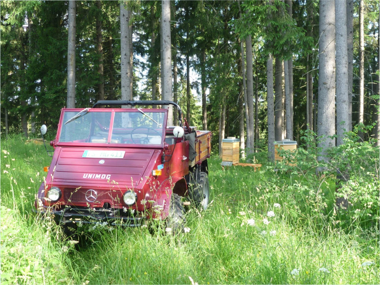 UNIMOG 411a Baujahr 1962